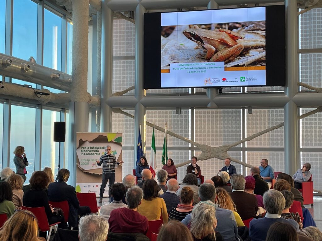 WORKSHOP SU SALVATAGGIO ANFIBI IN LOMBARDIA