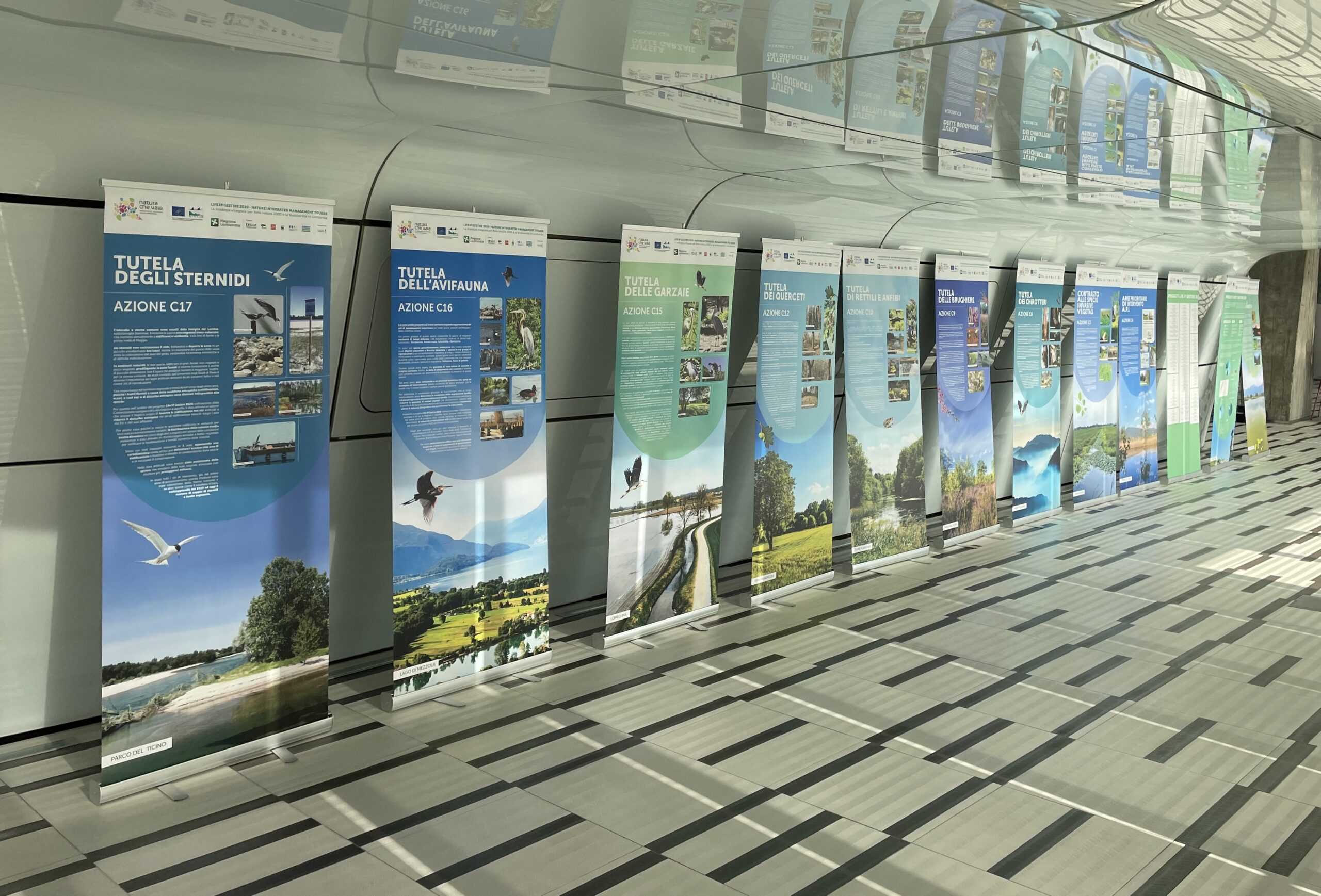 Mostra “Lombardia, azioni per la biodiversità” disponibile per attività divulgative