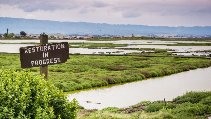 Parlamento europeo approva legge sul ripristino della natura (Nature Restoration Law)