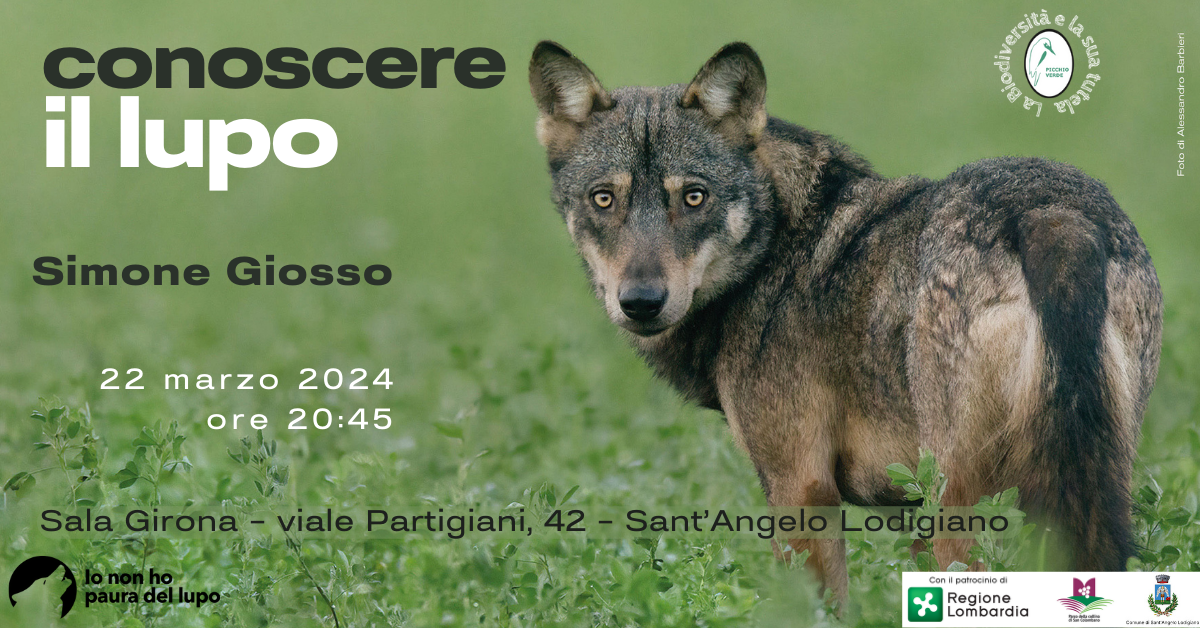 Conoscere il lupo – Sant’Angelo Lodigiano (LO)