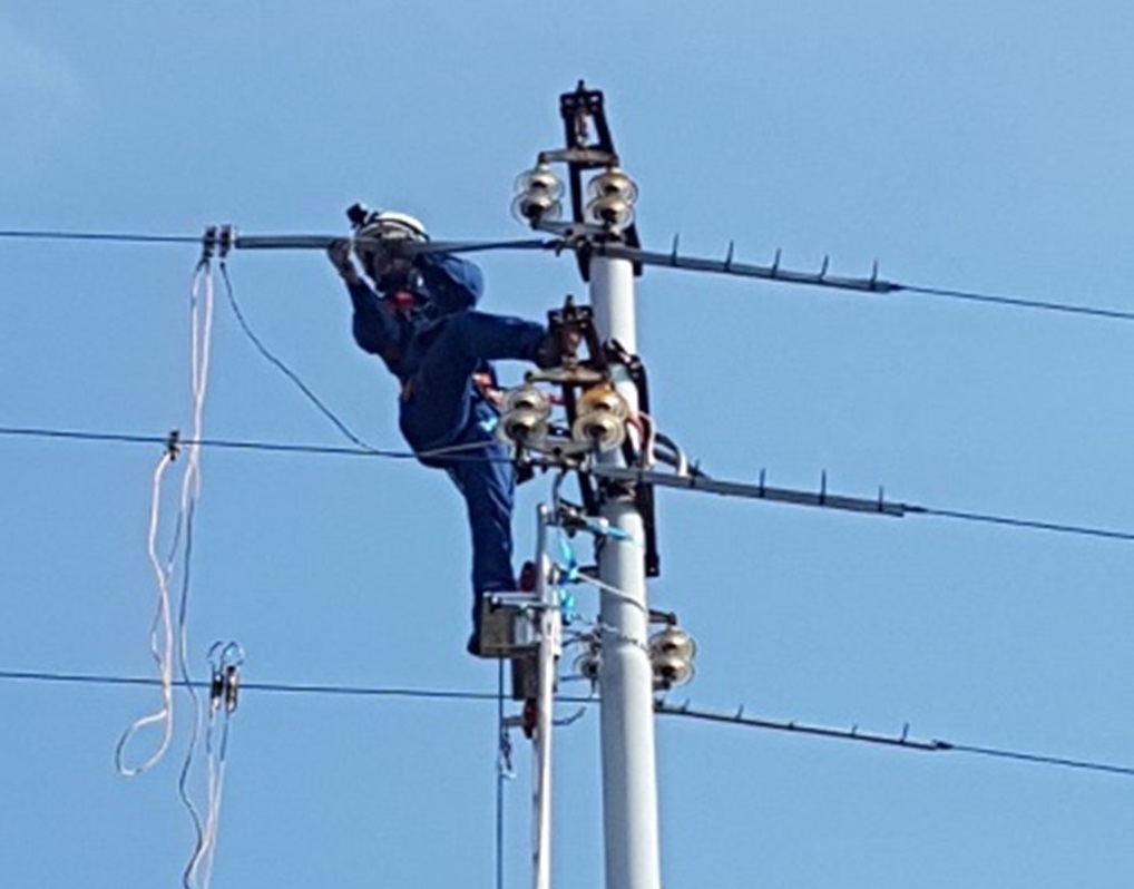 Manifestazioni di interesse per interventi di messa in sicurezza di linee elettriche e a favore dell’avifauna e interventi per la connettività ecologica della fauna selvatica