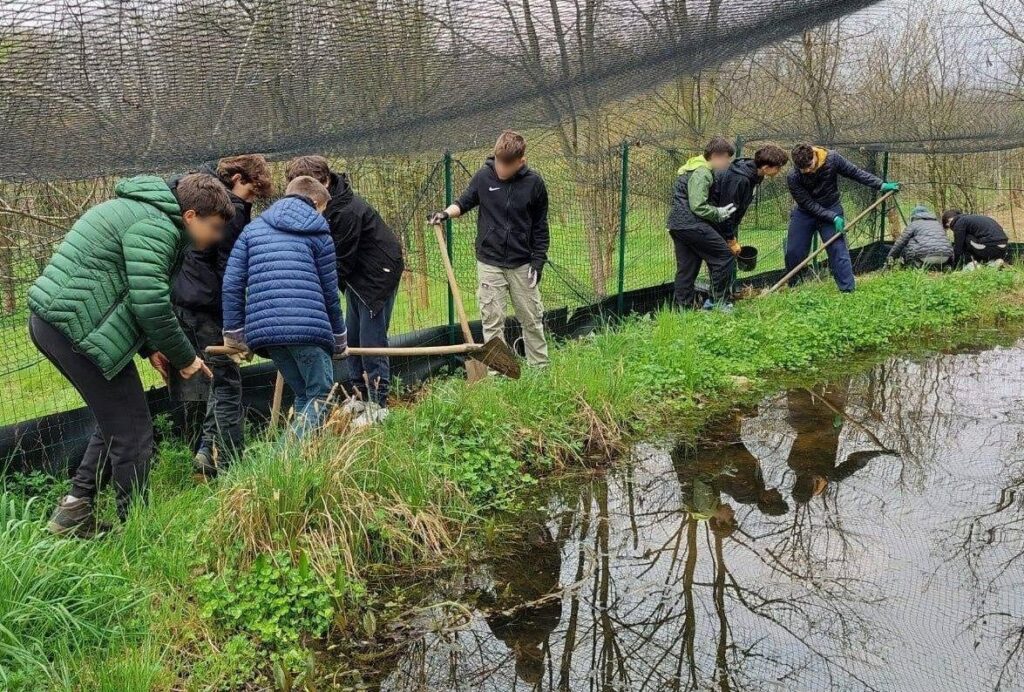 Studenti collaborano al monitoraggio del Pelobate fosco nel Bosco Wwf di Vanzago