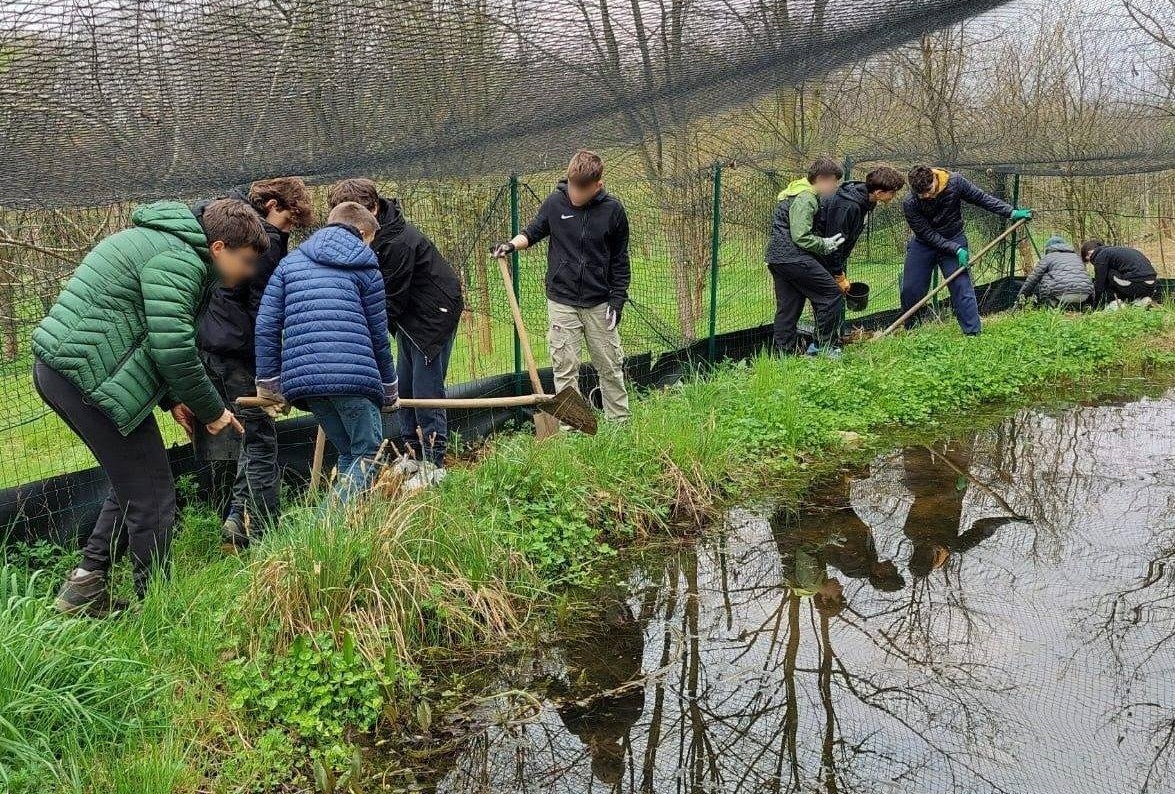 Studenti collaborano al monitoraggio del Pelobate fosco nel Bosco Wwf di Vanzago