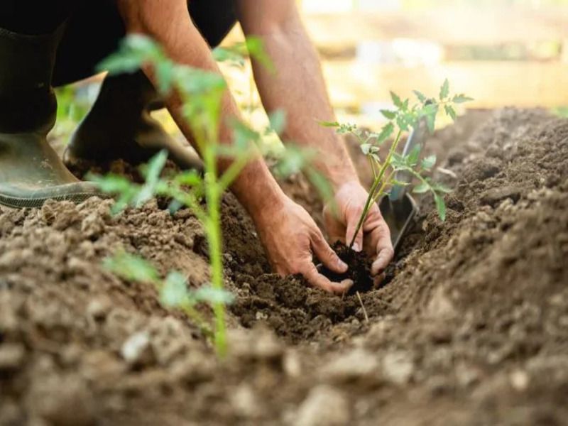 Aprono due bandi del complemento per lo Sviluppo Rurale PSN/PAC 2023-2027 Lombardia di interesse per la biodiversità
