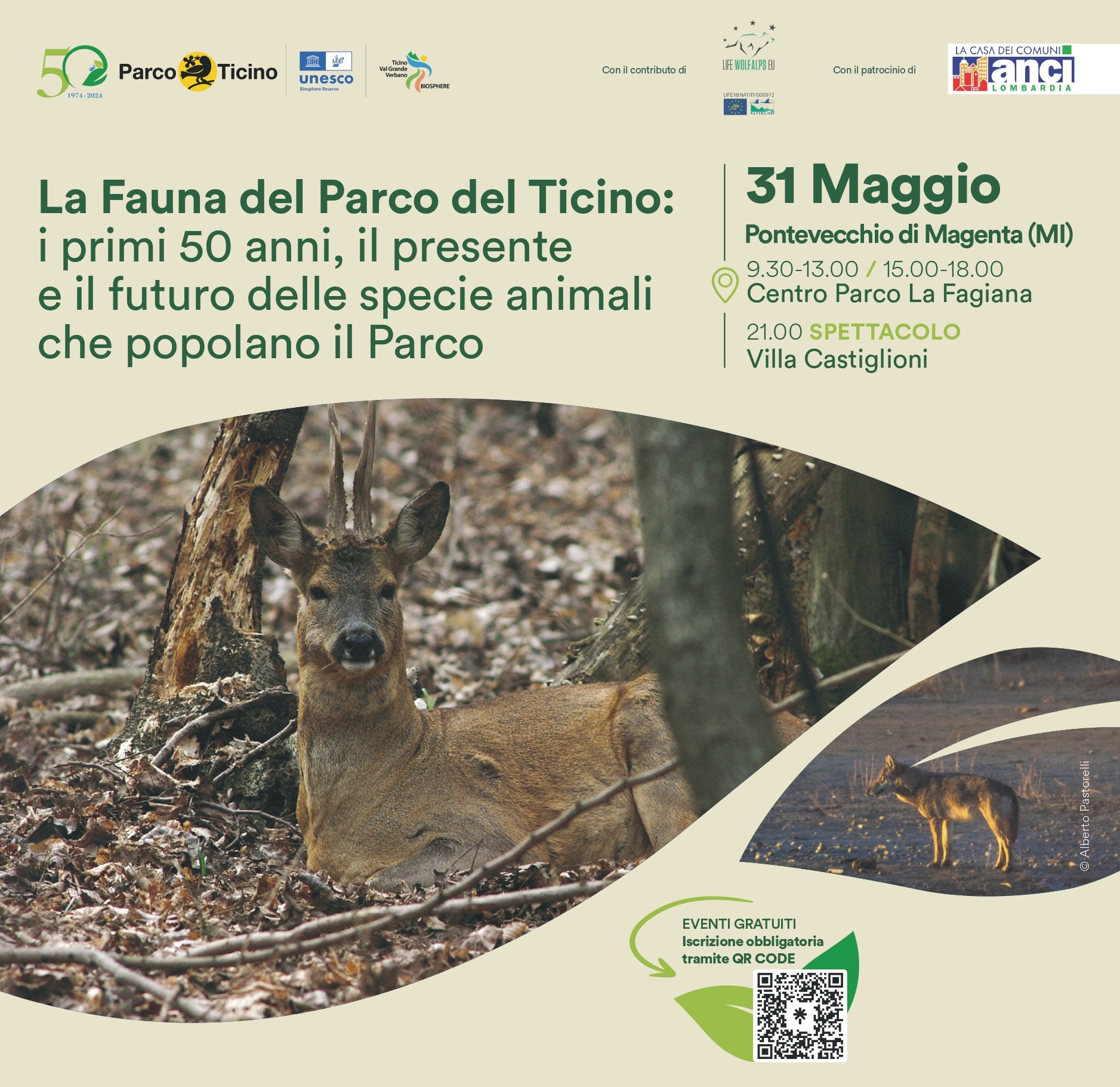 La Fauna del Parco del Ticino – Pontevecchio di Magenta (MI)