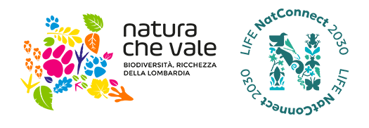 Natura che vale - LIFE NatConnect 2030