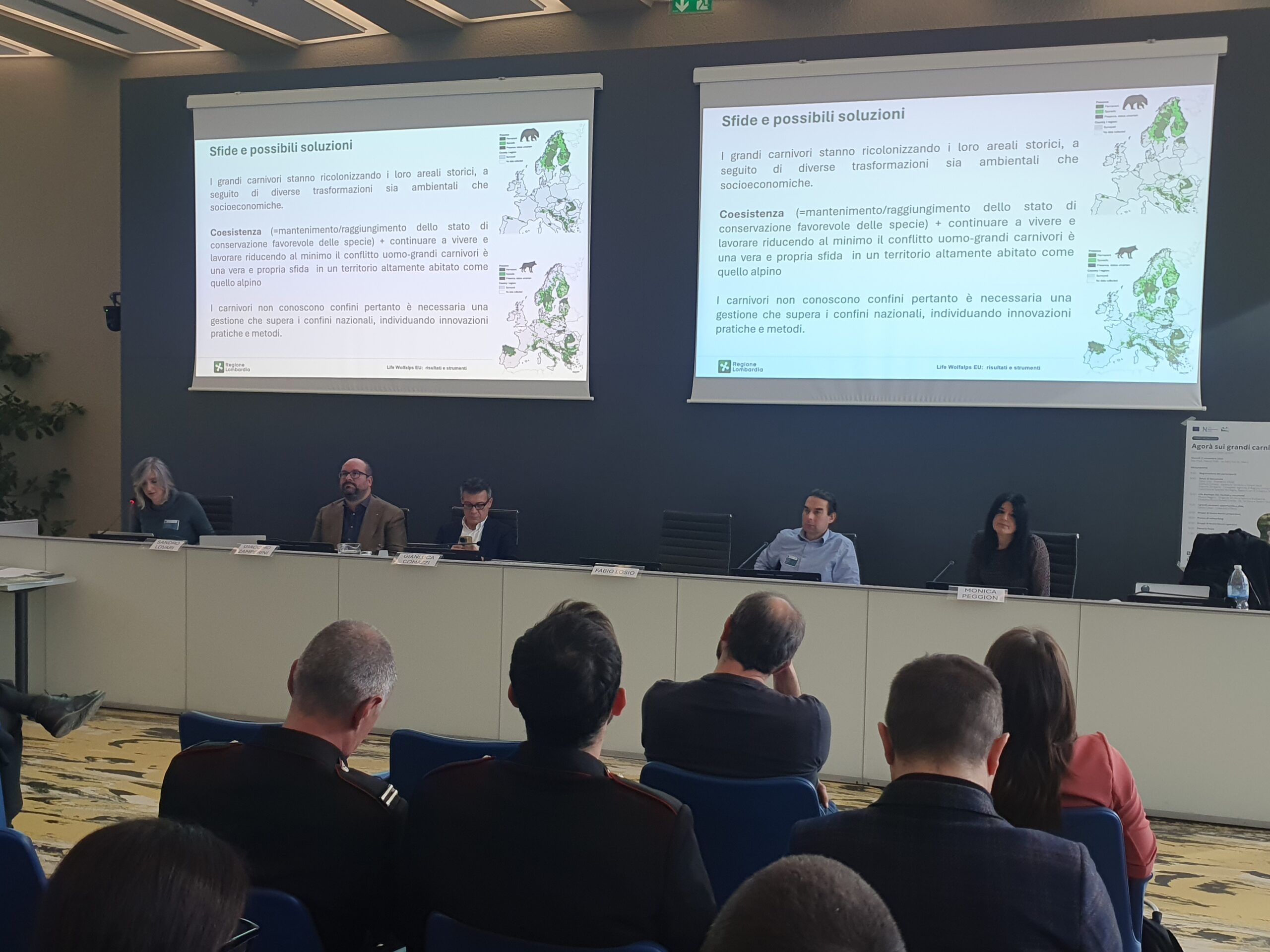 L’immagine riporta un momento del workshop sui grandi carnivori