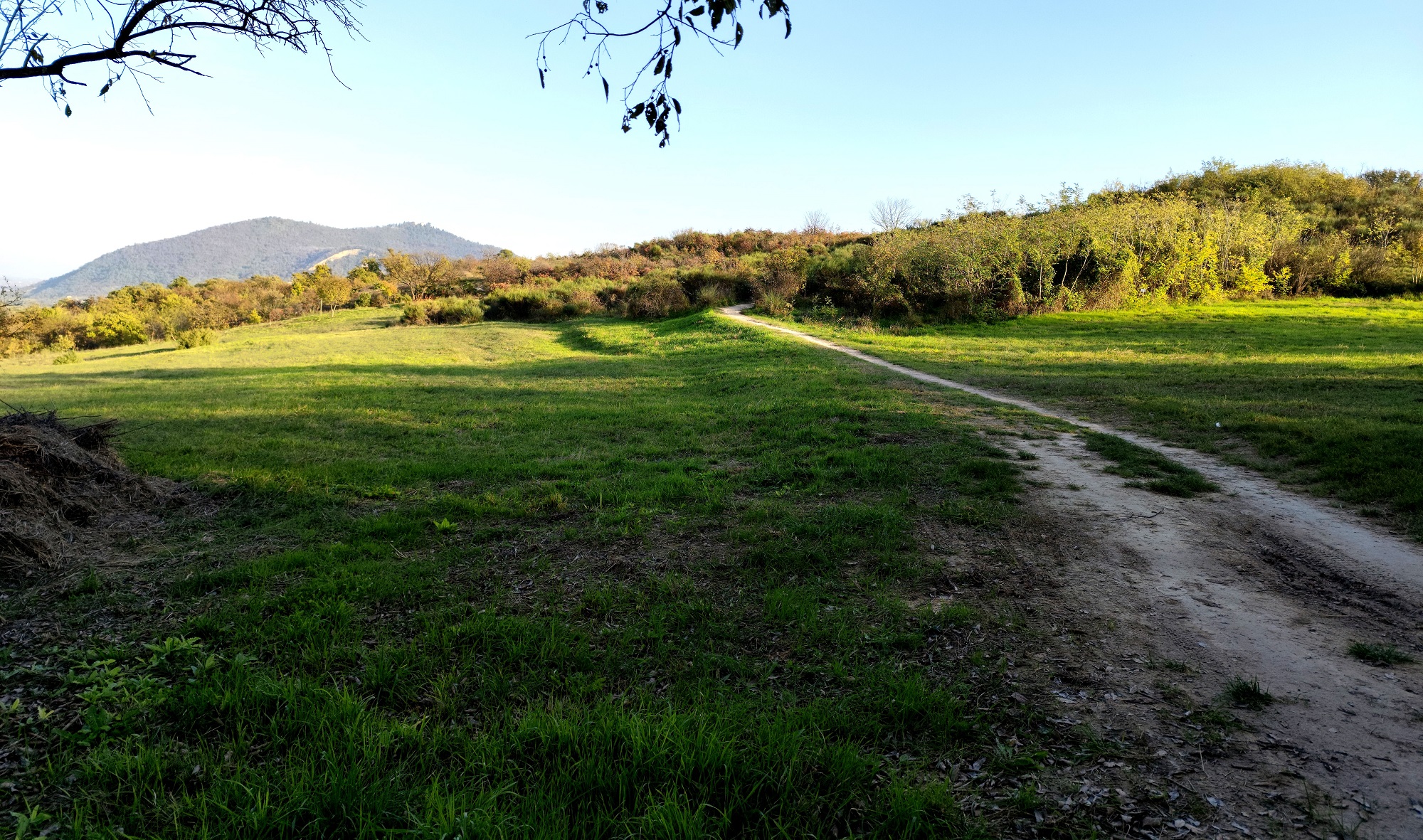 L’immagine mostra un momento della visita sul campo nel Parco Regionale dei Colli Euganei
