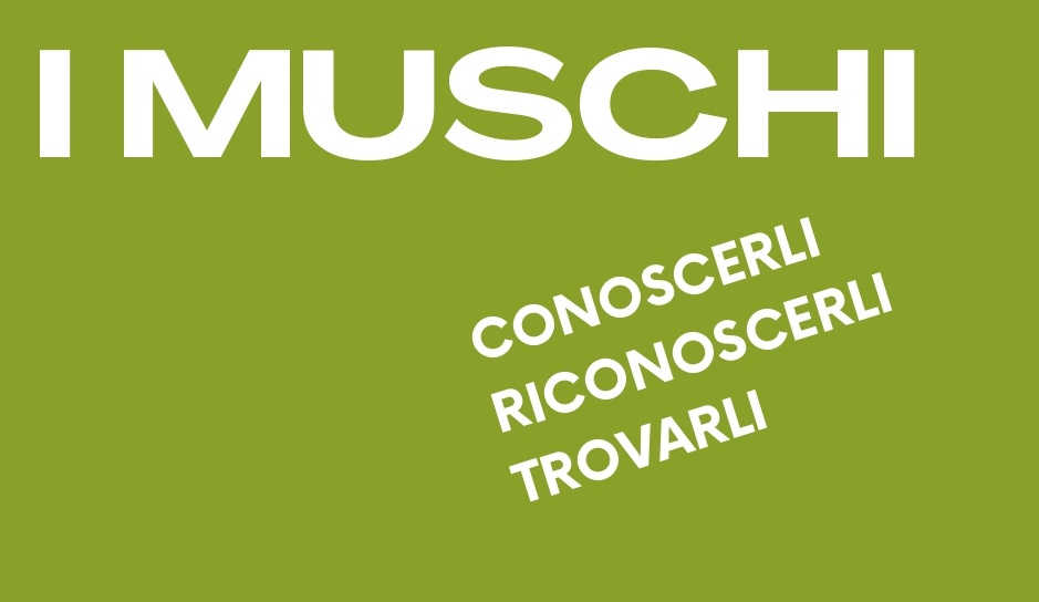I Muschi: conoscerli, riconoscerli, trovarli – Corso di formazione a Rancio Valcuvia (VA)