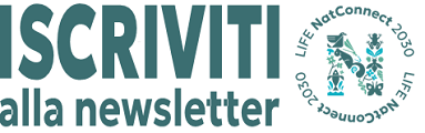 Iscriviti alla newsletter