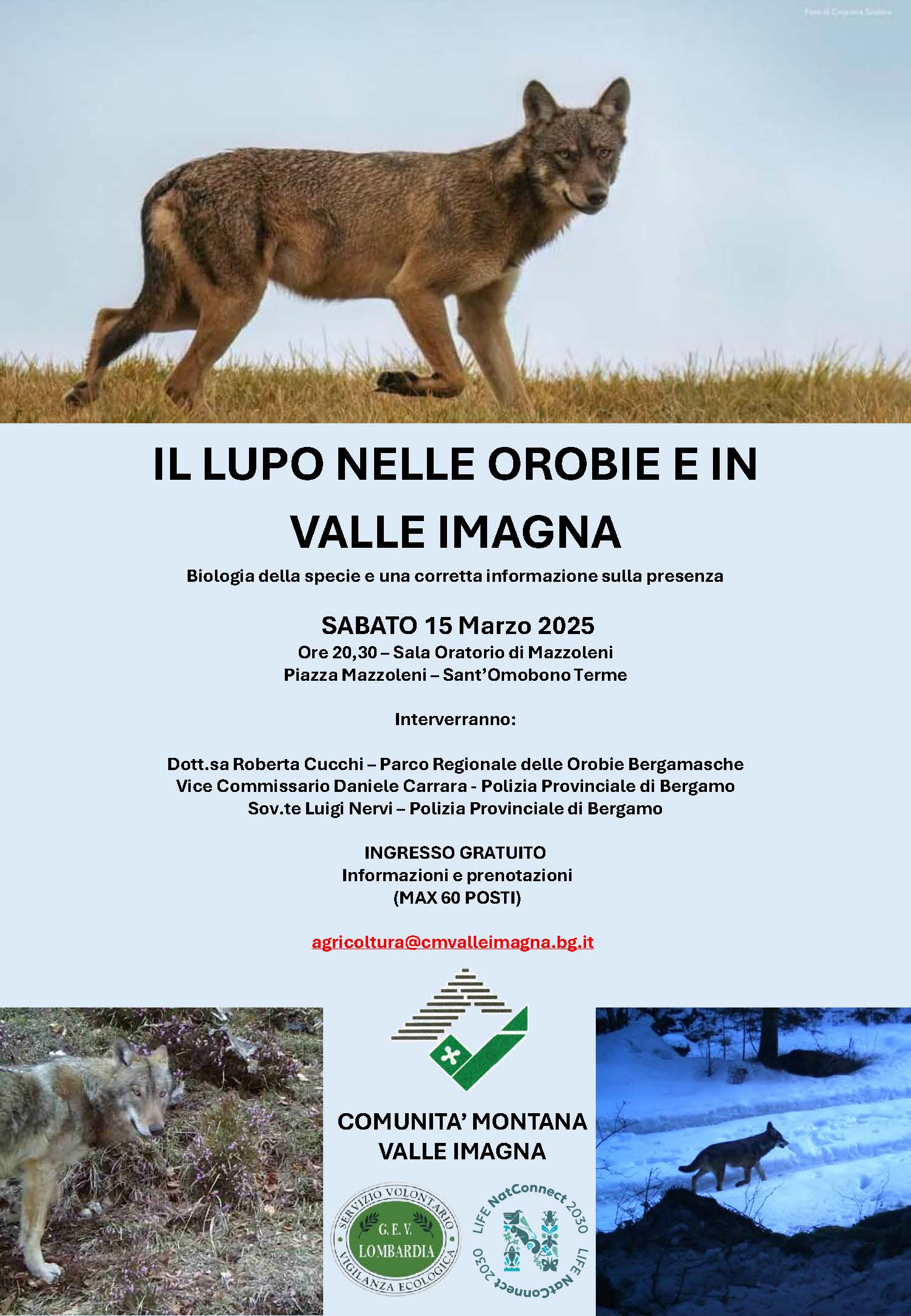 Il lupo nelle Orobie e in Valle Imagna – Sant’Omobono Terme (BG)