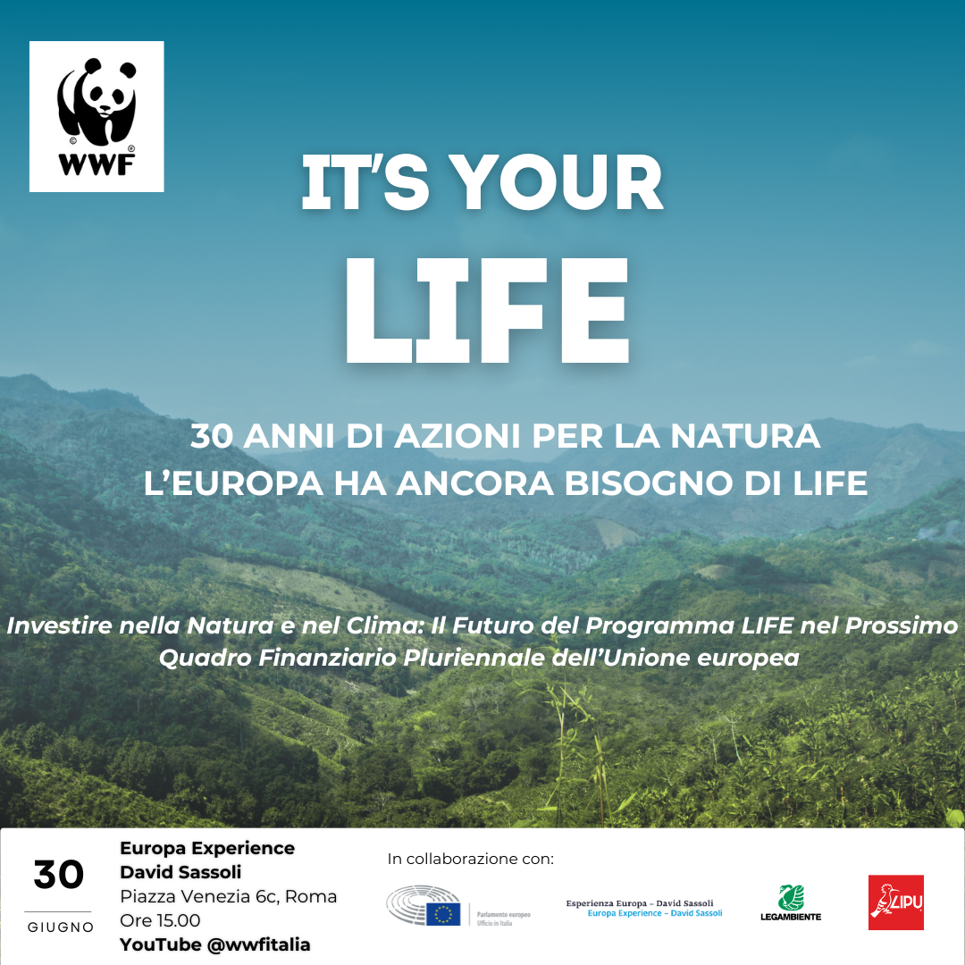 It’s Your LIFE! – Roma e online