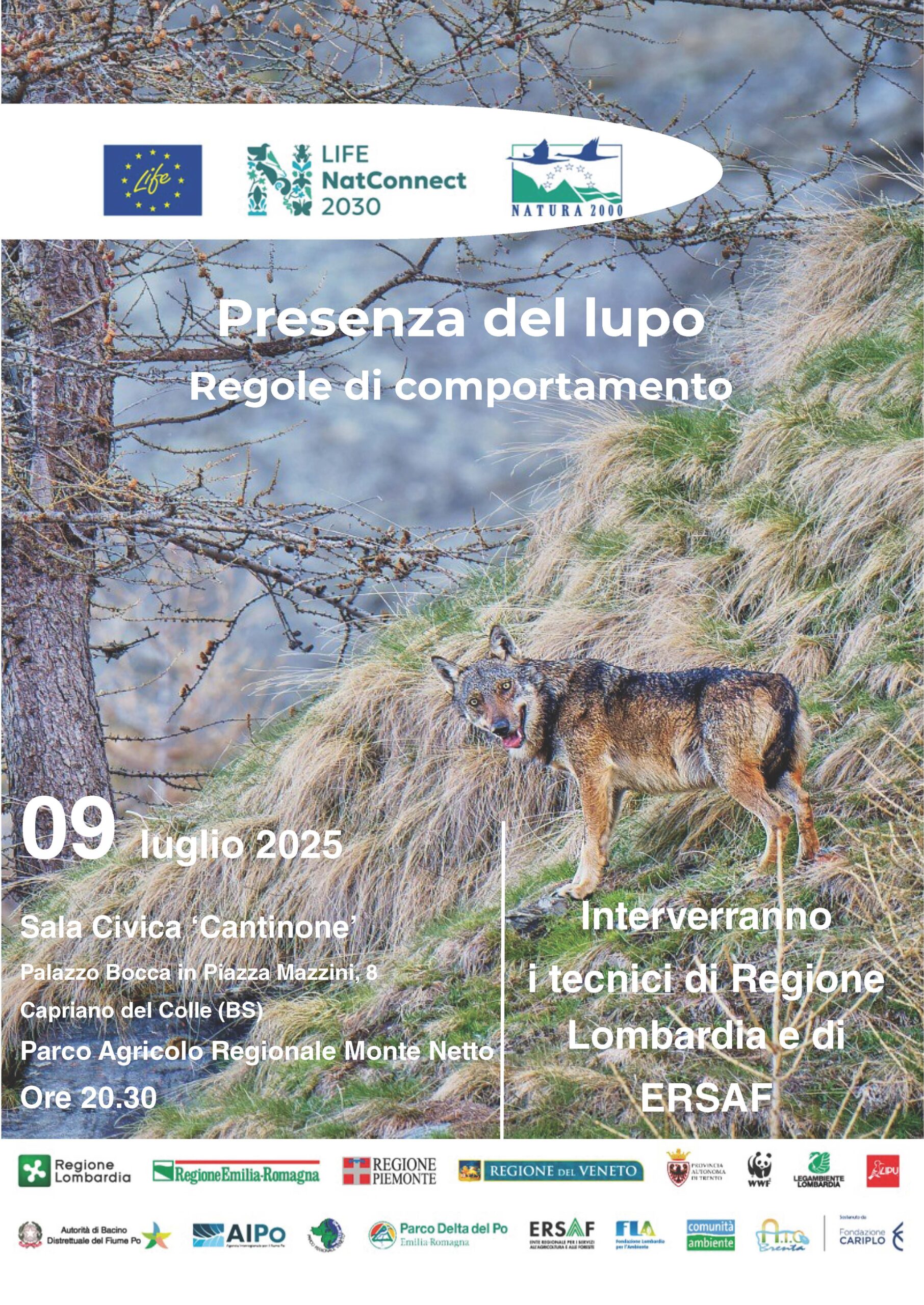 Presenza del lupo e regole di comportamento – Capriano del Colle (BS)