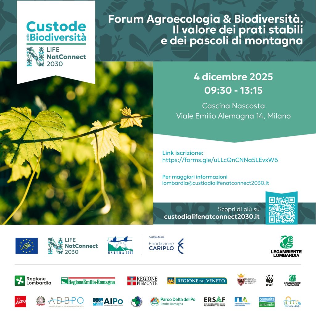 Forum Agroecologia & Biodiversità: il valore dei prati stabili e dei pascoli – Milano 4 dicembre 2025
